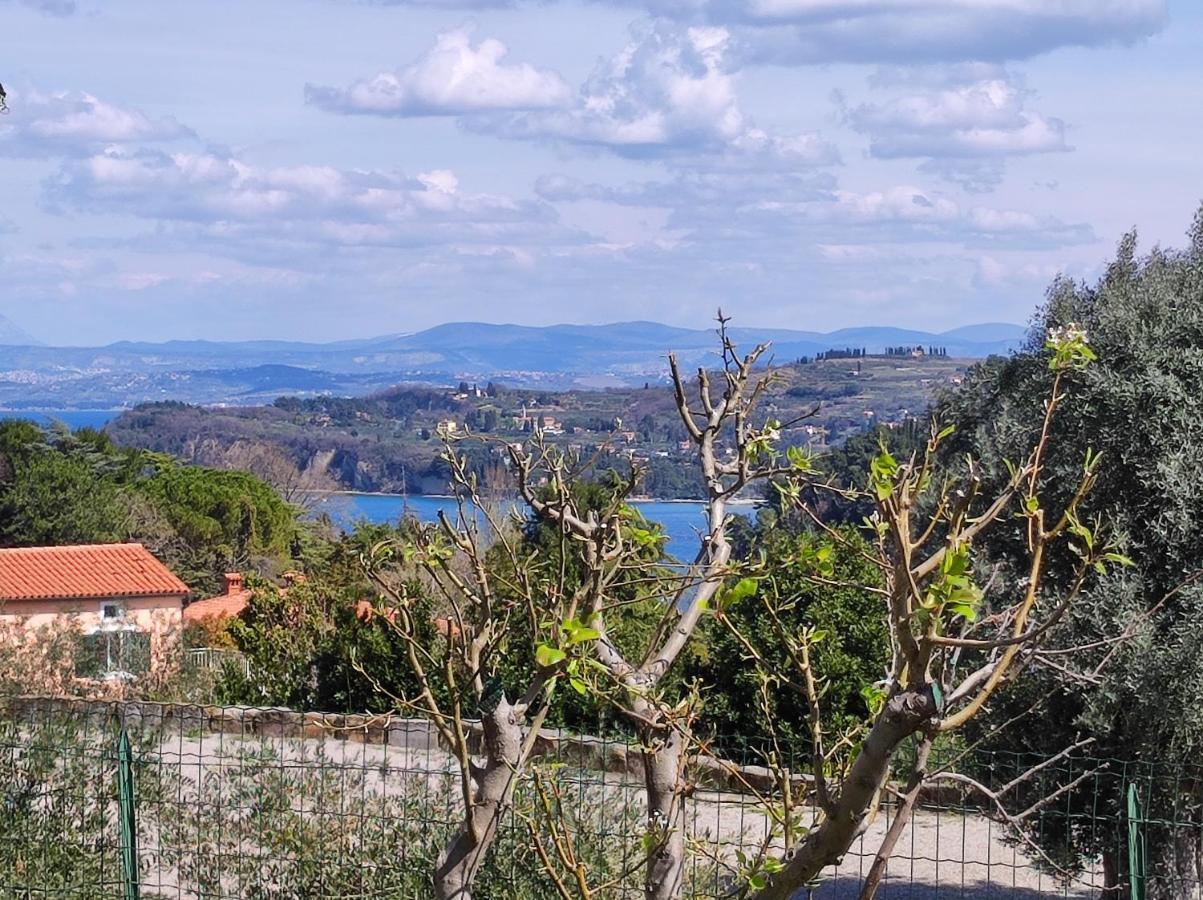 Apartma Sonja 2 Piran Zewnętrze zdjęcie
